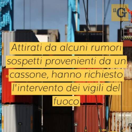 Brindisi, viaggiavano in una cella frigo: grave uno dei 3 clandestini