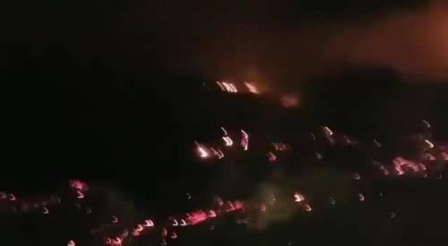 Sardegna, a fuoco decine di ettari di boschi nel Nuorese