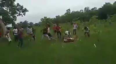 India, folla uccide una tigre a bastonate in una riserva