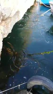 Schiuma nel mare di San Giovanni a Teduccio