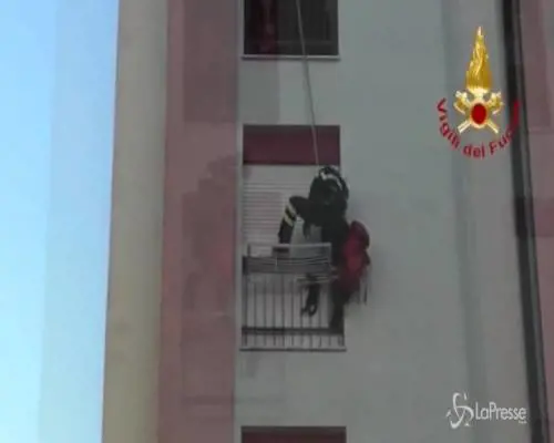 Gatto cade dal sesto piano e finisce in uno stendibiancheria