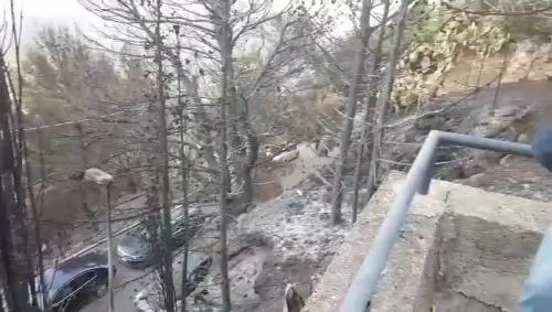 Incendi, sopralluogo del presidente Musumeci nei luoghi del disastro 