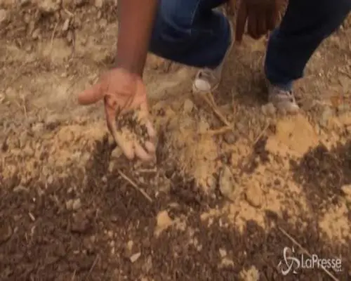 Allarme Onu: aumento fame e migrazioni per cambiamenti climatici