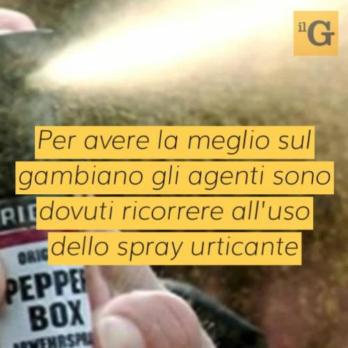 Torino, pugni e calci contro gli agenti: fermato gambiano ubriaco