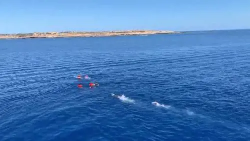 Open Arms, i migranti si gettano in mare