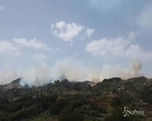 Spagna, incendi a Gran Canaria: evacuate 5mila persone