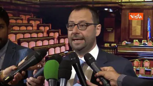 Governo, Patuanelli (M5s): “Salvini ci insulta, nostra fiducia è in Conte e Mattarella”