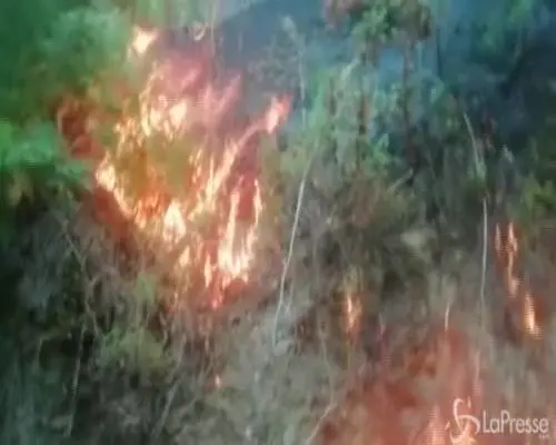 Gran Canaria, continuano le operazioni per spegnere il maxi incendio