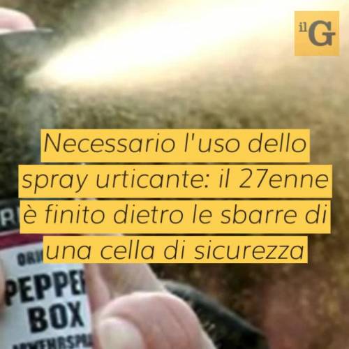 Latina, molesta ragazza e aggredisce poliziotti: fermato nigeriano