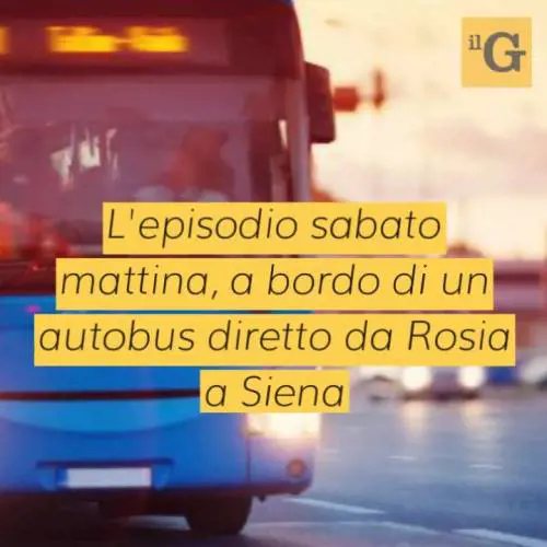 Gambiano deruba una turista sul bus, poi la prende a pugni