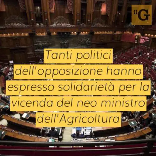 Insulti al ministro Bellanova, gli altri politici attaccati: "Noi lasciati soli"
