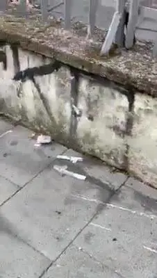 Quelle siringhe al Parco della Marinella