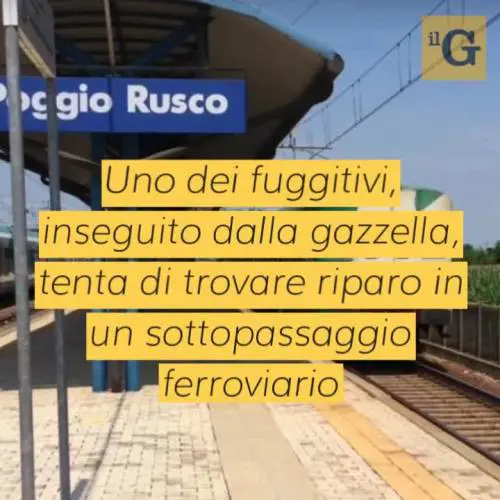 Clandestino prende a pugni carabiniere, lo fa svenire e gli procura la frattura della mascella