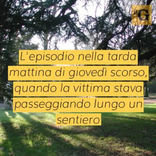 Cerca di stuprare una donna per strada, poi aggredisce i carabinieri: arrestato nigeriano