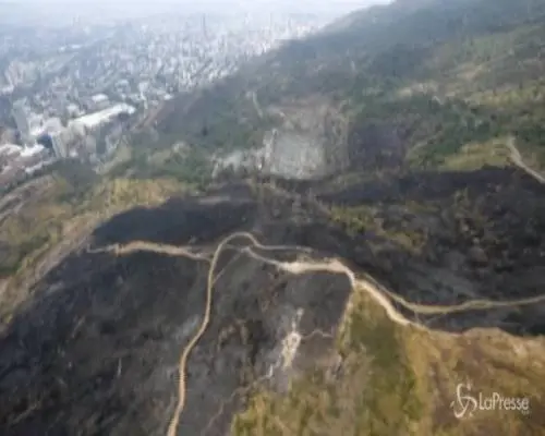 Le immagini aeree della foresta bruciata in Colombia