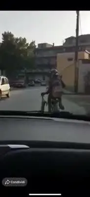 Reggio Calabria, gattino trascinato per una zampa da un immigrato