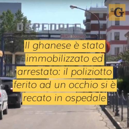 Ghanese prende a testate un agente, deputato FdI: "Basta buonismo, va cacciato subito"