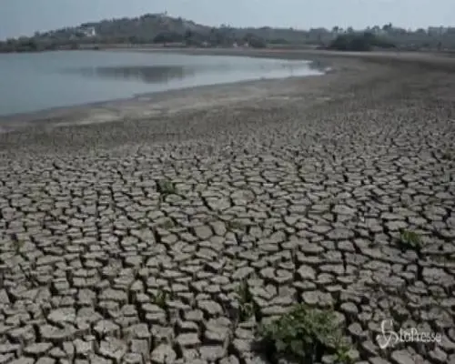 Allarme clima: estate più calda di sempre nell'emisfero Nord
