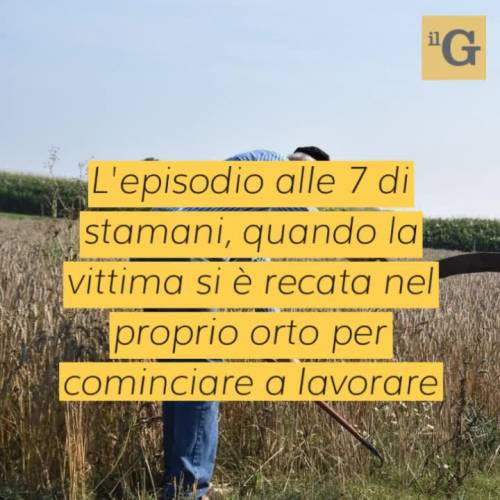 Anziano aggredito e rapinato nel proprio orto a Ravenna, si cerca uno straniero