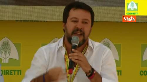 Salvini: “Costa dice che non si toccano i cinghiali, ma sono calamità naturale”