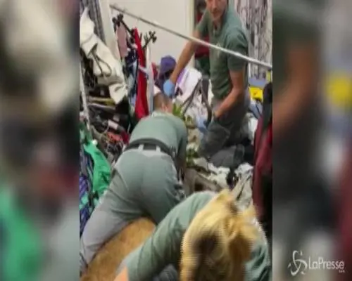 Cortina, cervo spaventato entra in negozio di abbigliamento