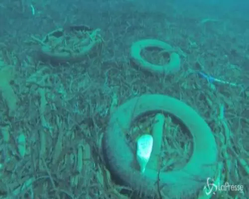 Ambiente, Praia a Mare: iniziata la pulizia dei fondali all'Isola di Dino