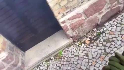 Germania, il video del terrorista di Halle mentre assalta la sinagoga