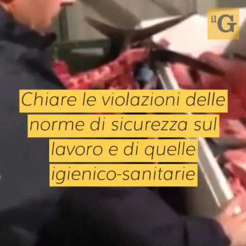 Carabinieri gli sequestrano la macelleria, marocchino li aggredisce con bombola di gas