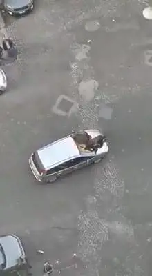 Follia dello straniero al Vasto: sale sul cofano di un'auto in corsa