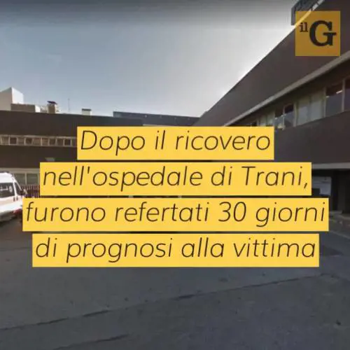 Fa mordere uomo dal suo cane e lo pesta fino a farlo svenire: clandestino incriminato