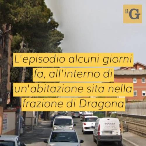 Lite fra cugini degenera nel sangue, somalo accusa un uomo bianco ma viene smentito