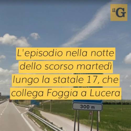 Colpi di pistola contro poliziotti che li colgono sul fatto: ricercati malviventi