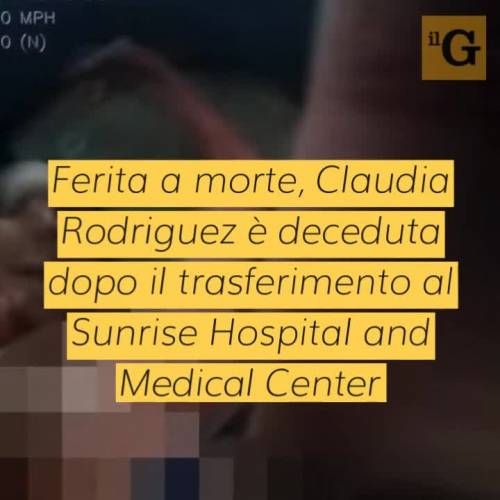 Madre accoltella figlio 25 volte, agenti costretti a sparare per fermarla: choc in Usa