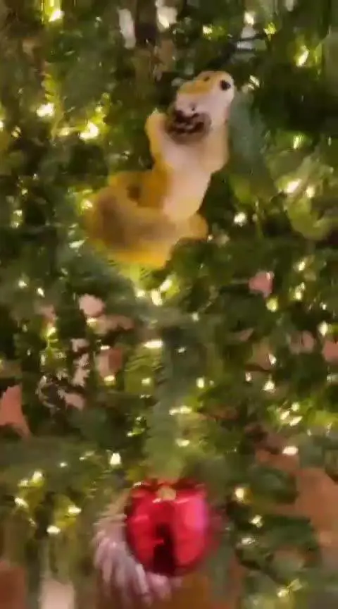 Michelle Hunziker fa l'albero di Natale con le figlie