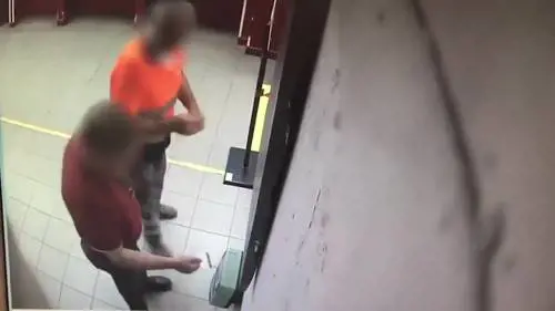 Roma, la truffa dei giardinieri