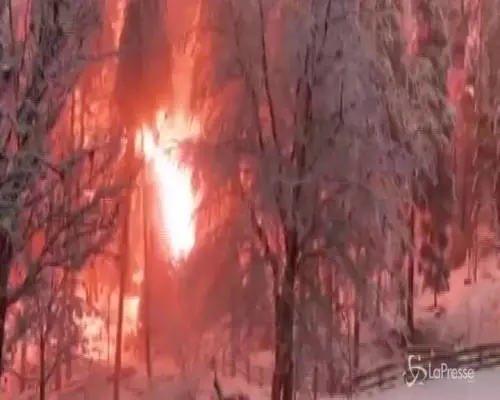Cadono i cavi elettrici per il maltempo, bosco in fiamme in Val Pusteria