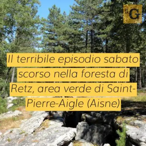 Esce per una passeggiata nel bosco e muore divorata dai cani, choc nel nord della Francia