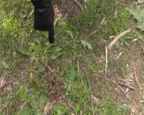Palermo, uccisa donna a coltellate: fermato un uomo
