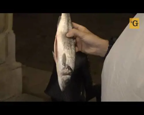 A Bologna arriva il pinguino anti-sardine