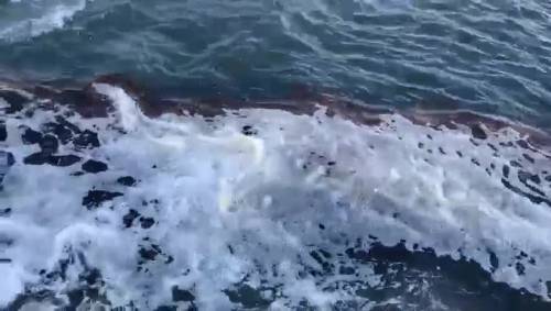 Il video della schiuma marrone sulla spiaggia di Ischia