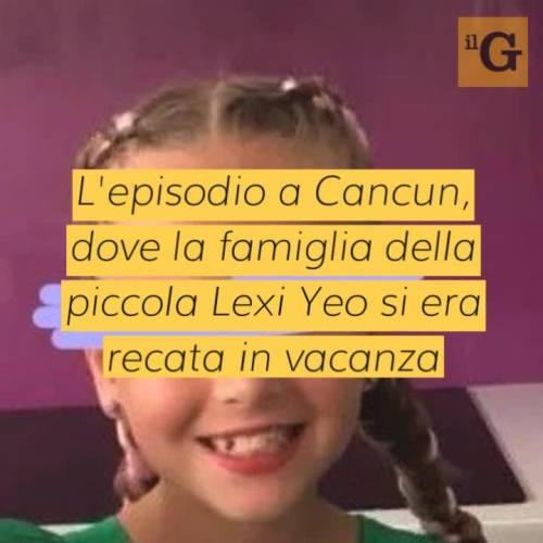 Paura in Messico, delfini mordono e trascinano sott'acqua una bimba di 10 anni