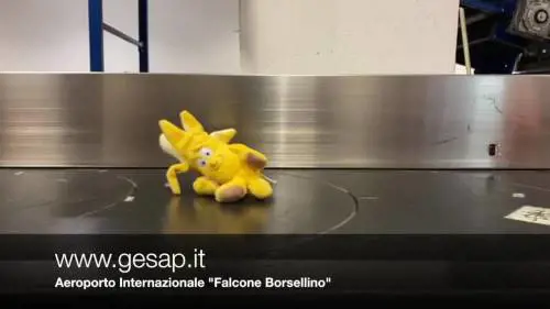 Un video per trovare i peluche smarriti