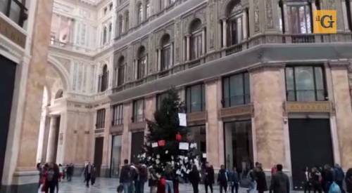 Ecco Rubacchio, l’albero di Natale della Galleria Umberto