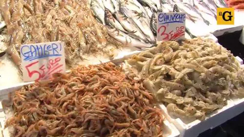 Napoli, il mercato di Porta Nolana tra crisi e speranza 