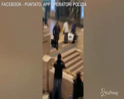 C'è un maiale alla Stazione Centrale