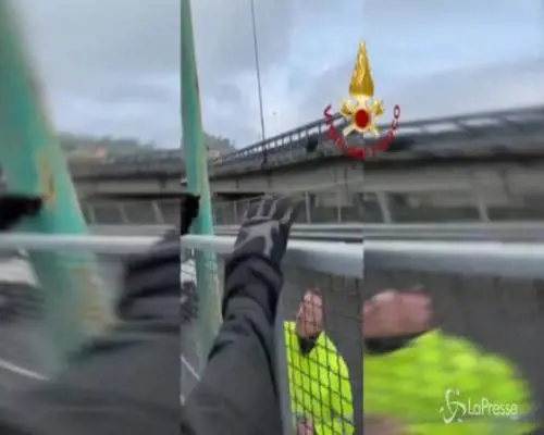 Vigili del fuoco salvano gatto bloccato a 20 metri d'altezza sulla tangenziale