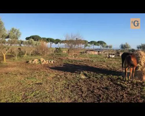 La rabbia dei residenti di Tragliatella: "No alla discarica"