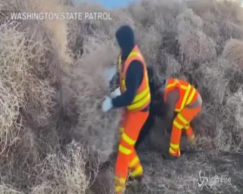 Usa, macchina intrappolata nei rotolacampi