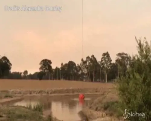 Incendi in Australia, grosse colonne di fumo in cielo