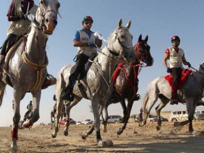 Piatto ricco, alla Conero Endurance, mi ci ficco